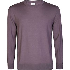 Eleventy, Heren, Truien, Paars, Maat: XL Wol,
