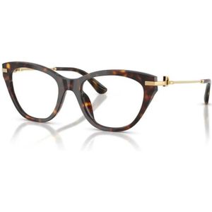 Dolce & Gabbana, Dames, Accessoires, Bruin, Maat: 53 MM