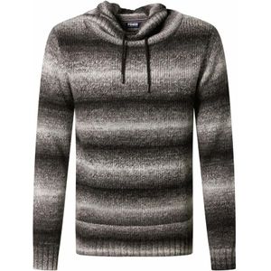 Pioneer Authentic Jeans, Heren, Truien, Veelkleurig, Maat: L Katoen,