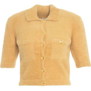 Elisabetta Franchi, Dames, Truien, Beige, Maat: XL