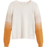 Desigual - Jers_Fama - Dames Trui - Beige - Gradient Effect