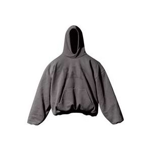 Balenciaga Beperkte oplage Dove Hoodie Donkergrijs , Gray , Heren , Maat: 2XL