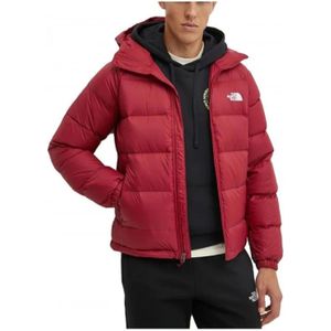 The North Face, Heren, Jassen, Rood, Maat: L Poliester,