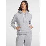 Guess - Mini Driehoek - Dames Sweatshirt - Capuchon - Streetwear