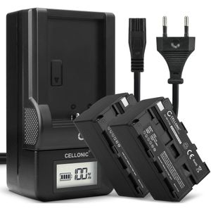 2x Sony CCD-TRV99 Accu Batterij