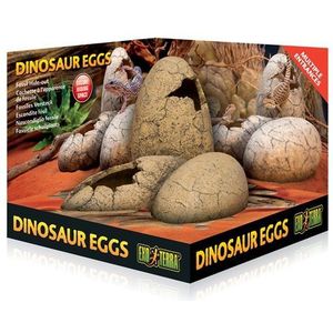 Exo Terra Dinosaurus-eieren