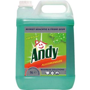 Andy Professional Allesreiniger 2 Liter