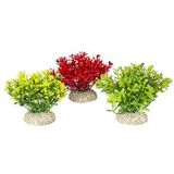 Aqua D'ella Plant glosso Gemengde kleuren groen/rood