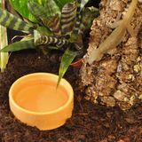 Habistat - Ronde Plastic Water Bak - Groot - 13 X 13 X 4.5cm