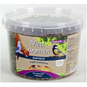 ESVE Meelwormen emmer 700g