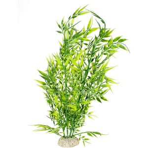 Aqua D'ella Plant bamboo Groen M