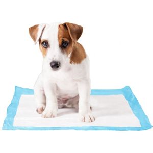 Duvo+ P-pad training puppy pads Medium 50 stuks