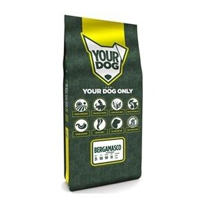 Yourdog Bergamasco Volwassen 3 KG