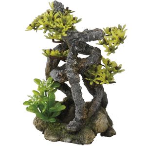 Aqua D'ella Twist Bonsai