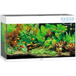 Juwel Rio 125 LED | 125L | 81 x 36 x 50CM Wit