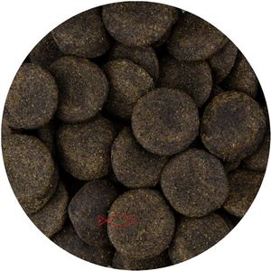 Junai.nl Koi Gulden 20MM 15KG