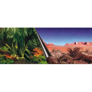 Ebi Achterwand Jungle & Desert 120 x 50 cm.