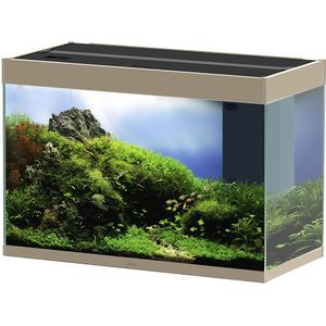 Ciano Emotions pro 80 | 145L  | 81,2 x 40,2 x 56CM Mystic Aquarium