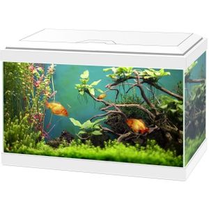Ciano Aqua 20 Classic | 17L | 40 x 20 x 26CM Wit Aquarium Geleverd met kap en verlichting