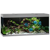 Juwel Rio 450 LED | 450L | 151 x 51 x 66CM Grijs