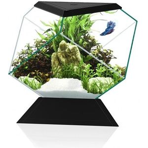 Ciano Nexus Betta 5C | 5,5L | 26,9 x 31 x 26,2CM Aquarium Zwart
