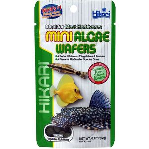 Hikari Mini Algae Wafers 1KG