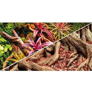 Hobby Foto Achterwand Colorful Jungle/Strangler Fig 50CM x 25M