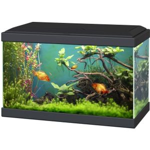 Ciano Aqua 20 Classic | 17L | 40 x 20 x 26CM Zwart Aquarium Geleverd met kap en verlichting