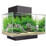 Fluval Edge I 2.0| 23L |  43 x 26 x 36,8CM Aquarium Geleverd met houder, filter en verlichting