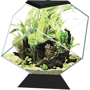 Ciano Nexus 14C | 14L | 35,4 x 41,8 x 36,8CM Zwart Aquarium Met deksel en voet