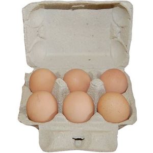 Junai.nl Grijze eierdozen voor L kippeneieren 6 eieren maat L