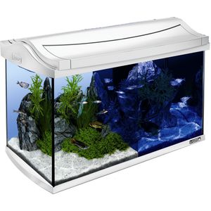 Tetra Aqua-Art Led | 60L | 61,5 x 34 x 43 CM Wit Aquarium Complete set, alles meegeleverd