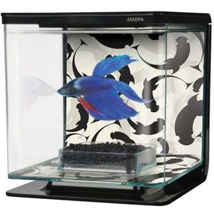 Marina Betta kit ying yang | 2L | 15 x 15 x 15CM Aquarium