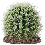 Hobby Terrano Cactus Sonora
