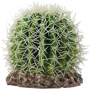 Hobby Terrano Cactus Sonora