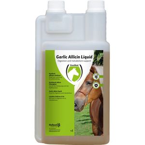 Excellent Garlic Allicin vloeibaar EU 1 liter