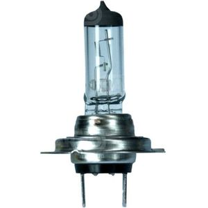 HC Cargo H7 Halogeenlamp