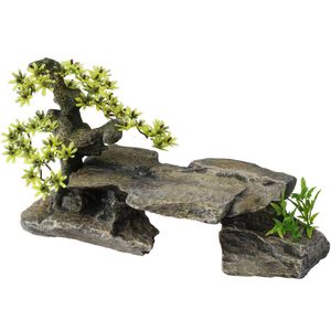 Aqua D'ella Bonsai steen met planten