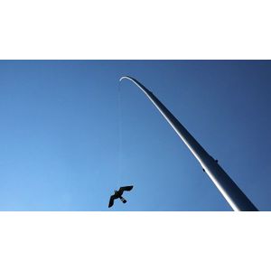 Ketrop Aluminium paal + Black Hawk Kite 12.5m
