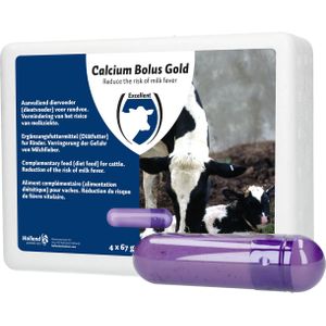 H.A.C. Calcium bolus gold 4 stuks