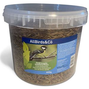 AllBirds&Co Gedroogde meelwormen in emmer 850g