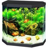 Ciano Aqua 30 LED | 25L | 40 x 20 x 45,5CM Zwart Aquarium Geleverd met kap, verlichting en filter
