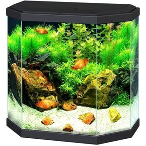 Ciano Aqua 30 LED | 25L | 40 x 20 x 45,5CM Zwart Aquarium Geleverd met kap, verlichting en filter