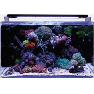 Blue Marine Reef 160 Aquarium