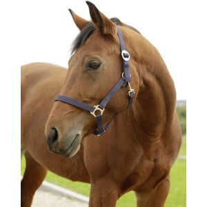 Covalliero Halster Hippo Marine Shetland