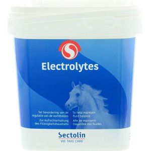 Sectolin Electrolyten equivital 1KG