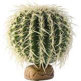 Exo Terra Cylinder Cactus Medium