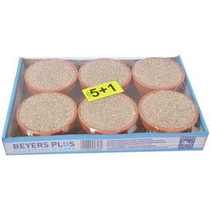 Beyers Zeewierpikpot 6 stuks