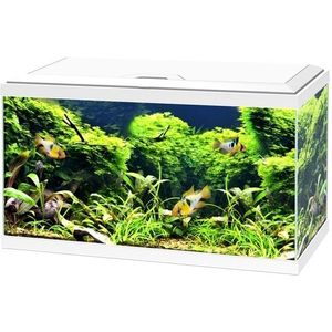 Ciano Aqua 60 LED CF150 | 58L | 60 x 30 x 33CM Wit Aquarium Complete set, alles meegeleverd