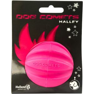 Dog Comets Ball Halley Roze